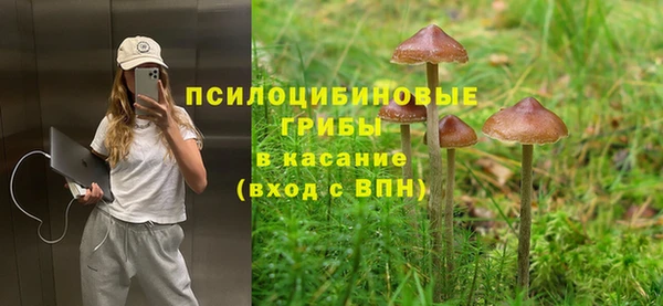 ALPHA PVP Арсеньев