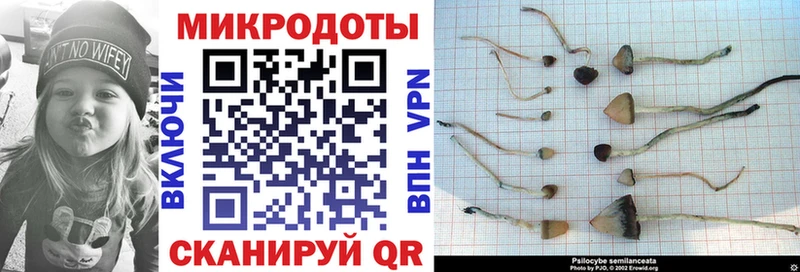 Галлюциногенные грибы мицелий Павловский Посад